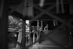 神社の奥で