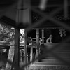 神社の奥で
