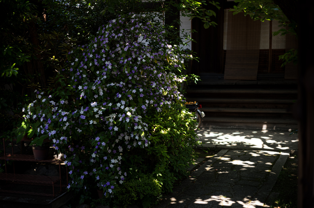 正午のお寺