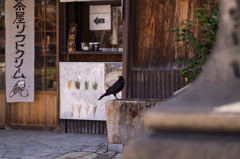 カラスもアイス待ち