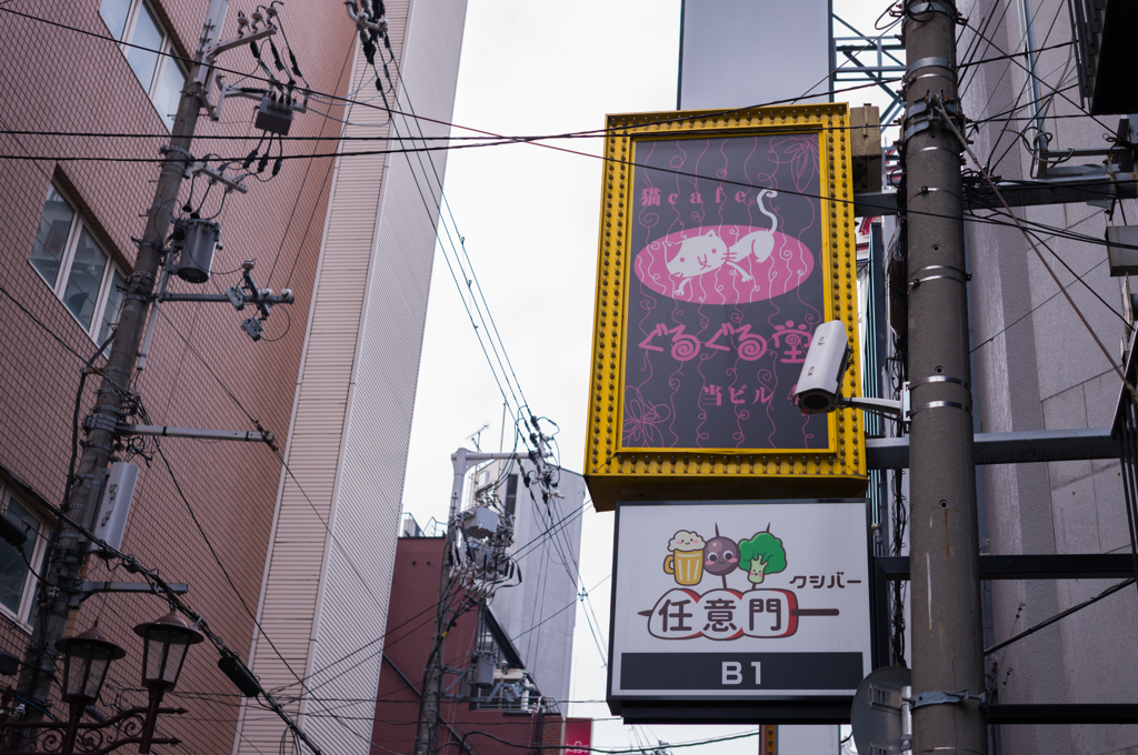 大阪道頓堀　18