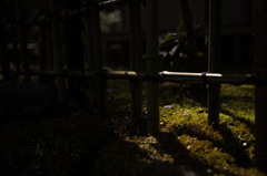 竹柵の風景