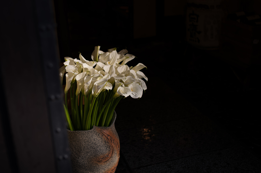 淡い光の中で