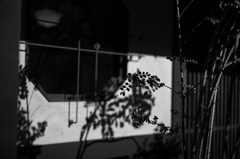 八角窓の影