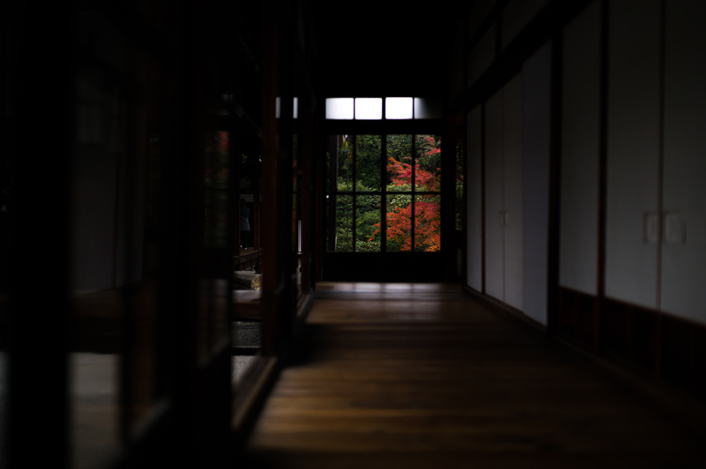 京都建仁寺　10