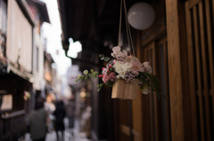 先斗町　花箱祭り　1