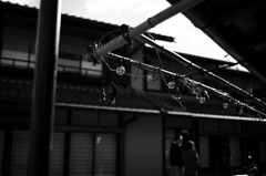 電球の風景