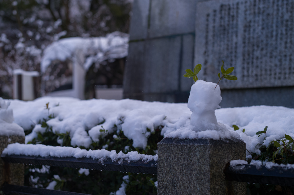 雪解けの風景　13