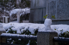 雪解けの風景　13