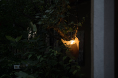草間から