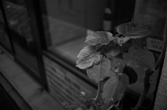 雨粒