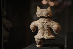 猫猫寺5