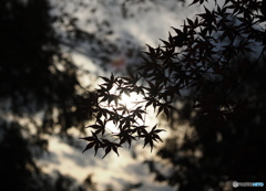 日没の気配に後ろ髪