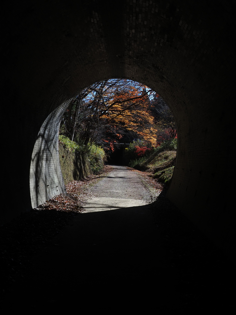 トンネルから見える紅葉
