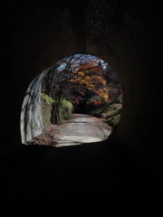 トンネルから見える紅葉