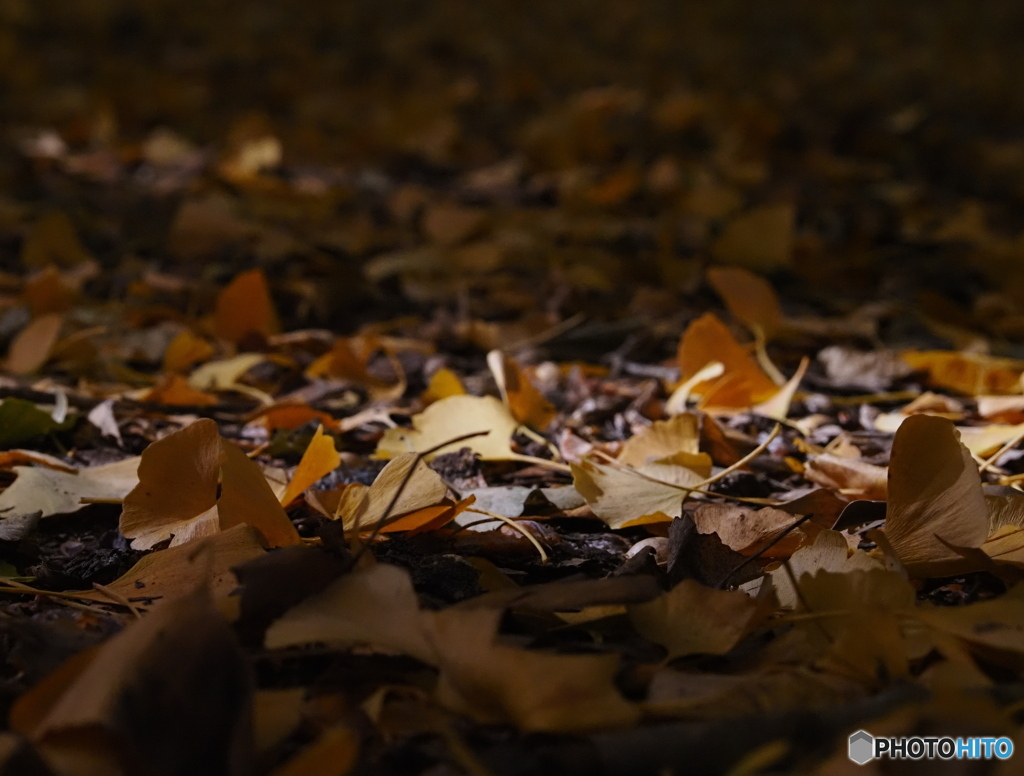 スポットライト