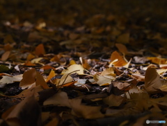 スポットライト