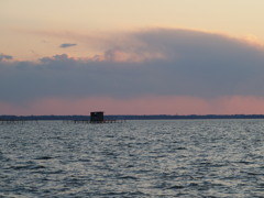 やわらかなマジックアワー