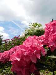 DSCN5402