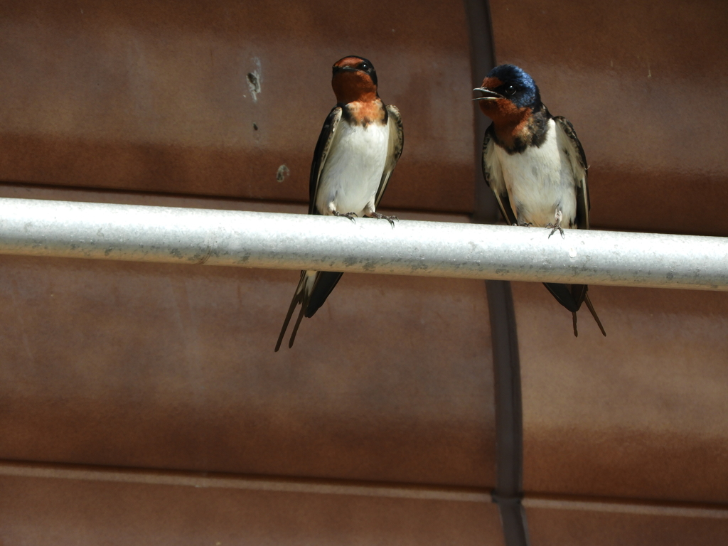 ごめんね～女の子は強い‼
