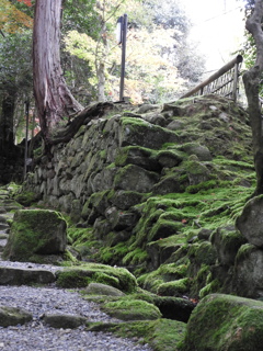 苔むす古刹