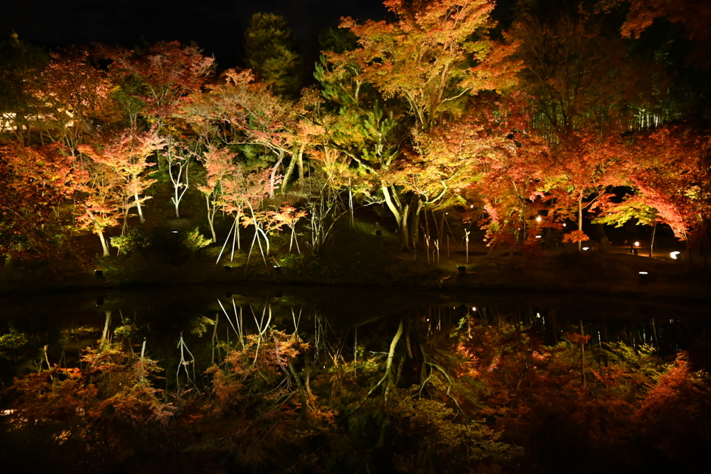 高台寺ライトアップ