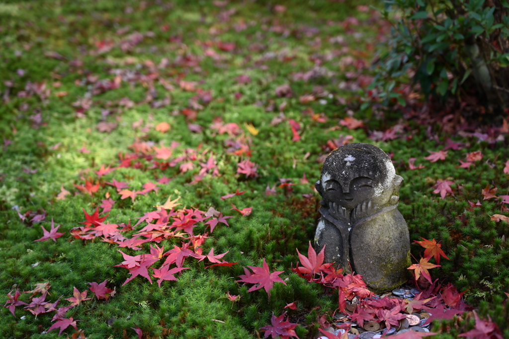 圓光寺のお地蔵さん