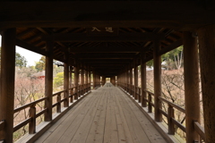 東福寺通天橋