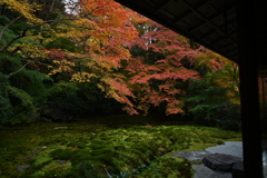 秋の瑠璃光院