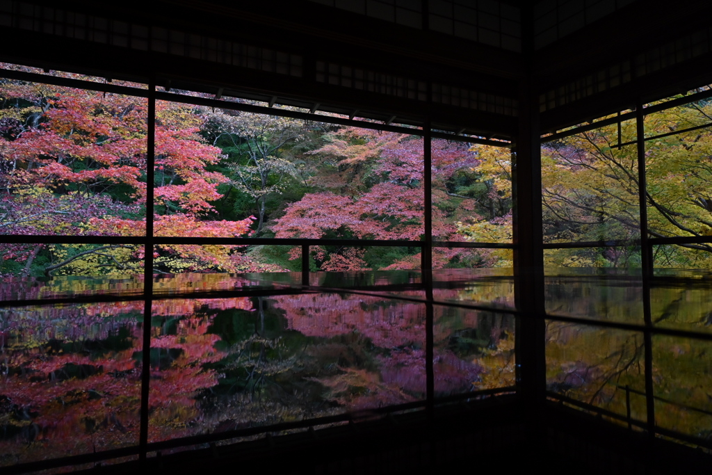 秋の瑠璃光院