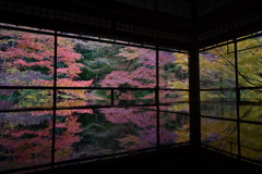 秋の瑠璃光院
