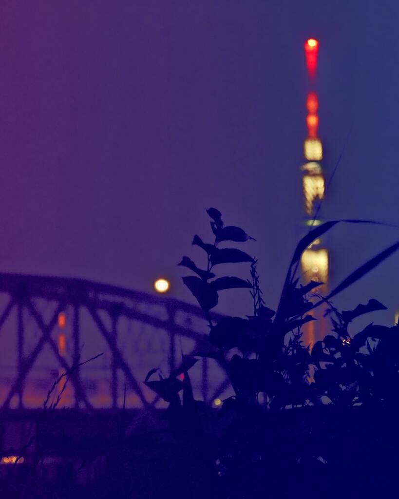 薄暑1