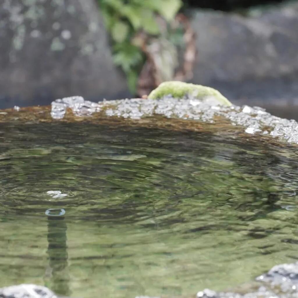 水面2