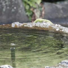 水面2