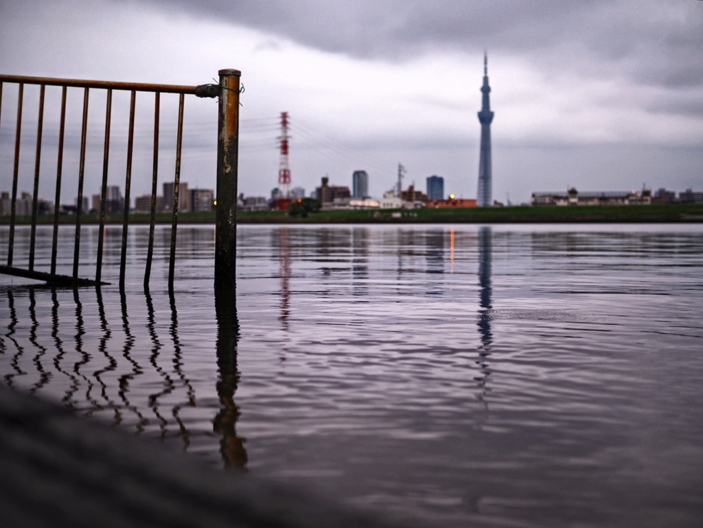 Reflection1
