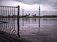 Reflection1
