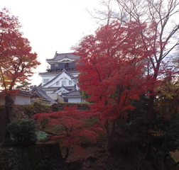 岡崎城と紅葉