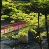 秋を探しに