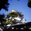 どうする家康