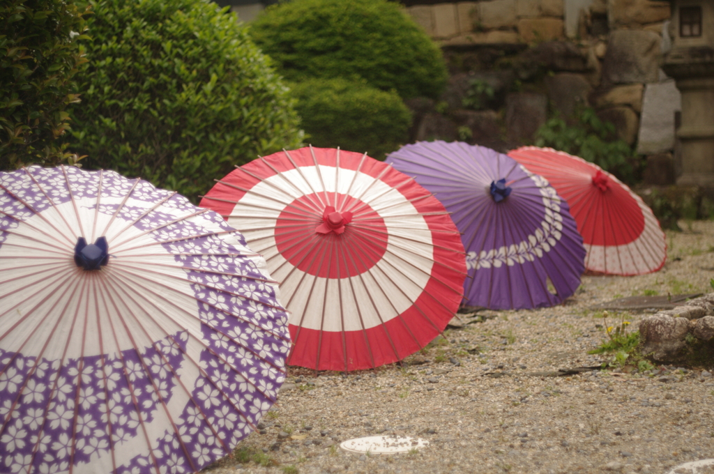 雨もあがって