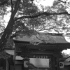 金剛峯寺