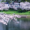 ♪春のうららの乙川♪