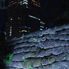 rock wall