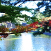 紅葉祭り