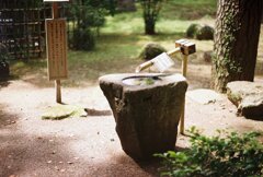 酷暑の中で