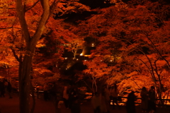 香嵐渓の夜紅葉