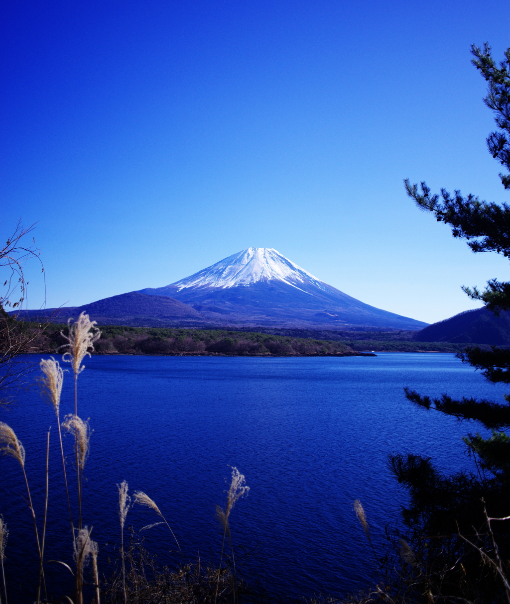 本栖湖と富士山