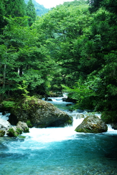 円原川