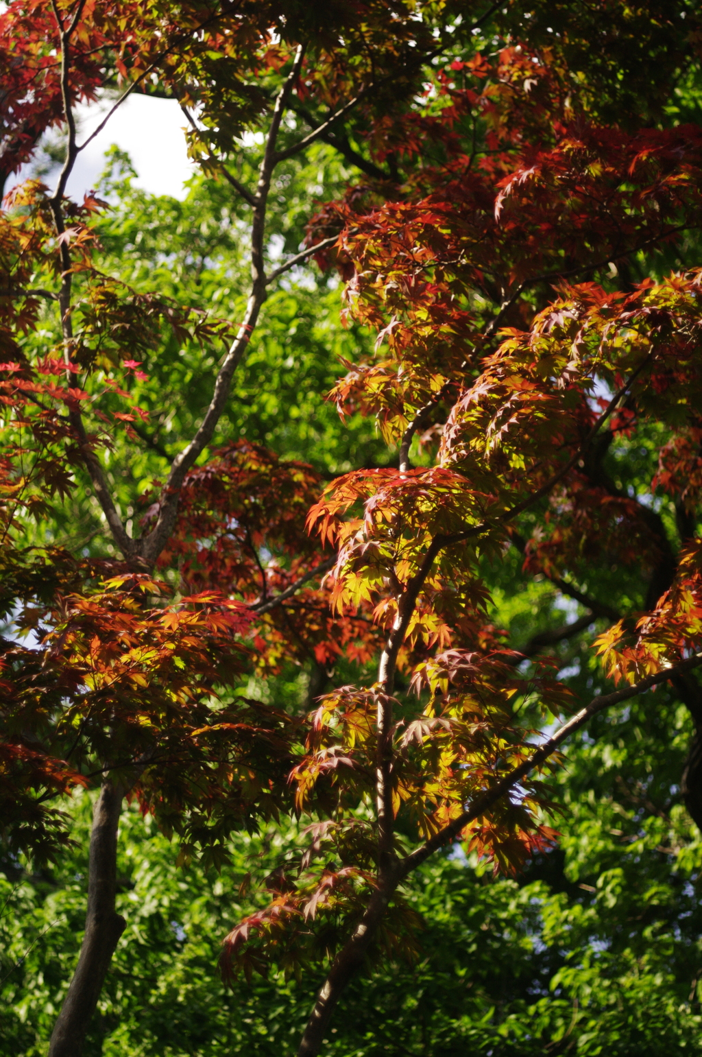 春なのに・・・