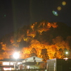 豪快に